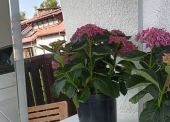Ładne lustro ścienne z szarą obramówką