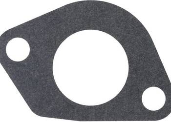 Uszczelka gaźnika 1704301640001