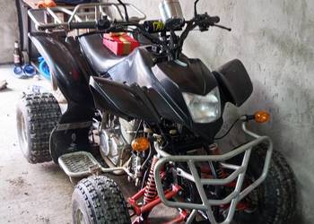 Quad Bashan 250