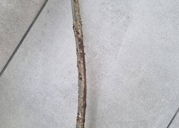 Sprzedam dzwignię hamulca junak m10