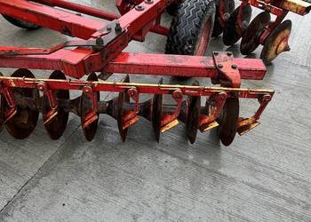 Talerzówka lila harrie 16x2 Talerzówka lila harrie 16x2