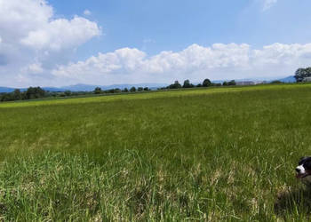 Działka Lipowa 1507m2