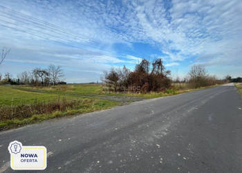 Dwie działki w Żukach - rolna i pod zabudowę