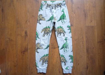 H&M 134/140 Szare Spodnie Dresowe Dinozaury