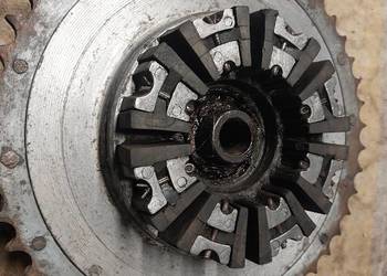 Zabierak zębatka junak m10