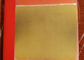 (28) Oblicza choroby maniakalno-depresyjnej Janusz Rybakowski