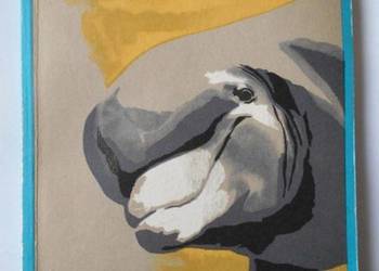 SEKRETY DELFINÓW - WERNEROWA JADWIGA