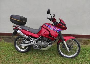 Kawasaki KLE 500