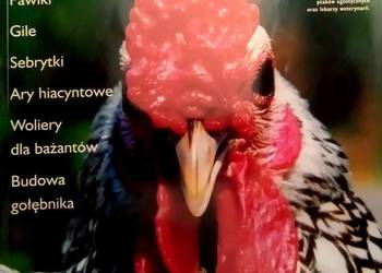 440 Woliera Miesięcznik Ornitologiczny (P) (2)