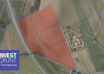 [26,58 ha] grunty rolne przetarg na dzierżawę