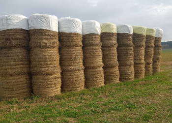 Sprzedam bele słomy 120 szt i 20 siana.