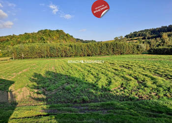 Grunt Polekarcice 4800m2