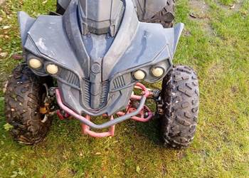 Quad Bombardier 125
