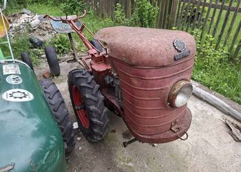 Dzik 2 1968r