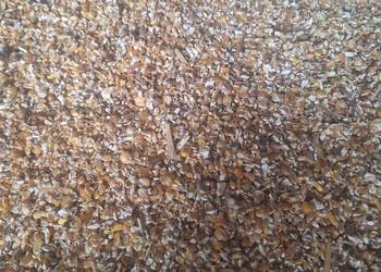 Kukurydza sucha gnieciona