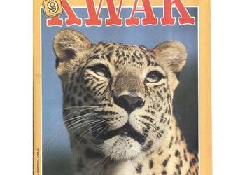 „Kwak” nr 9, wrzesień 1993
