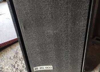 Kolumny estradowe ZG 603 2 sztuki