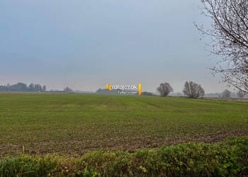 Grunt Drewnica Wierzbowa 3012m2