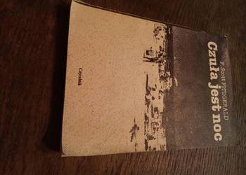 Czuła jest noc. Fitzgerald