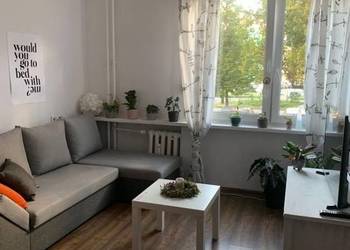 3pok, 48met, Okolice Lubuskiej PIWNICA/WINDA (Wrocław)