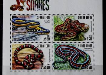 Sierra Leone ( gady)