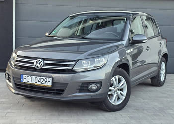 Volkswagen Tiguan bezwypadkowy *bardzo zadbany *cały w oryginale *zarejest…