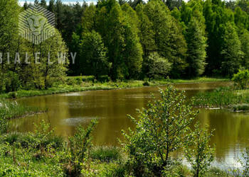 Działka Nowe Borsuki 3019 metrów