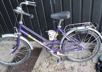 Rower Alpina.