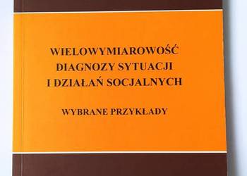 Wielowymiarowość diagnozy sytuacji i działań socjalnych