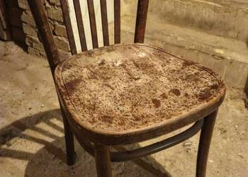 Krzesła gięte Thonet typ 788