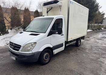 Mercedes Sprinter 311 chłodnia Mroźnia