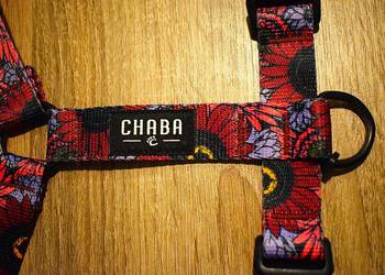 Szelki dla psa z serii Story Carnival od marki Chaba - solidne .