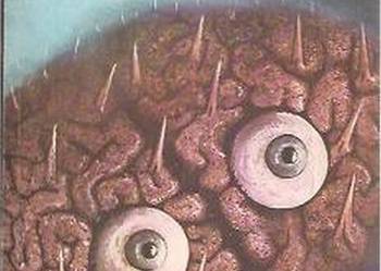 PRZEZ SZKIEŁKO FUTUROLOGII - PIKULSKI ZYGMUNT PRZEZ SZKIEŁKO FUTUROLOGII - PIKULSKI ZYGMUNT