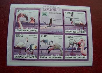 Komory 2009 MNH Fauna Ptaki Flamingi