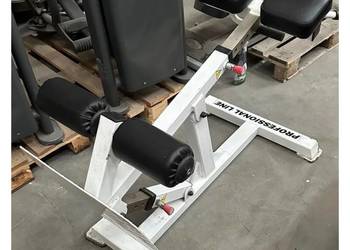 Ławka rzymska na mięśnie grzbietu