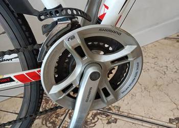 Rower WHEELER cross 6.2