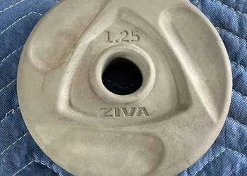 Obciążenie 1,25 kg, ZIVA