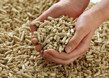 pellet sosn-buk Rymanów