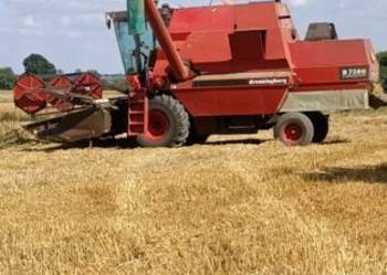 29xp Massey Ferguson, Power Flow  d7500 Dronningborg