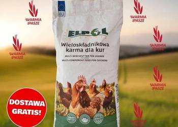 Mieszanka Kokoszka-Nioska “KN” bogata w białko i wapń (worek 20 kg)