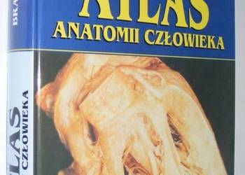Fotograficzny atlas anatomii człowieka - Vidić Branislav