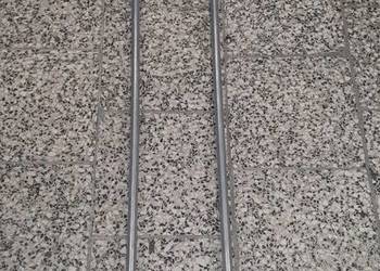 Kijki do nart biegowych SWIX 150 cm