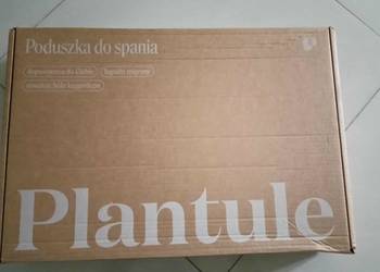 Poduszka Plantule Pillows 60x45 łuska gryki bawełna nowa