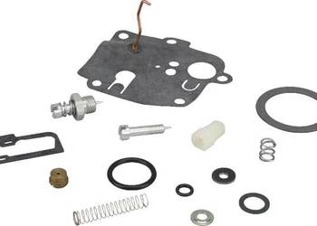 Zestaw naprawczy gaźnika 494623