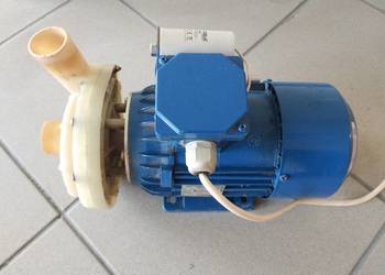 Pompa myjąca zmywarka gastronomiczna wyparzarka Lozamet