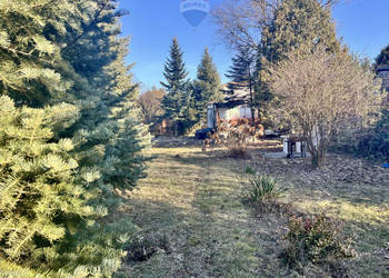 Działka ROD przy ul. Bukowskiej