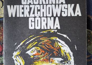 Jaskinia Wierzchowska Górna-A.Górny, M. Szelerewicz