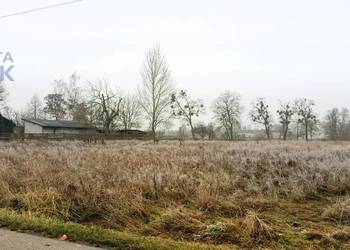 Sprzedam działkę o pow. 6144 m2 w Antoniewie Żdżarowskim