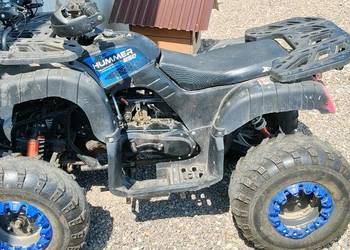 Qwad hammer 250