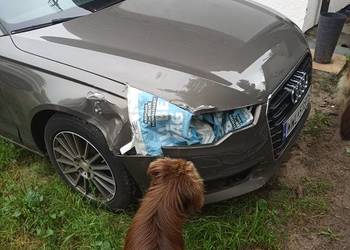 Audi A6 C7 2013 pilnie